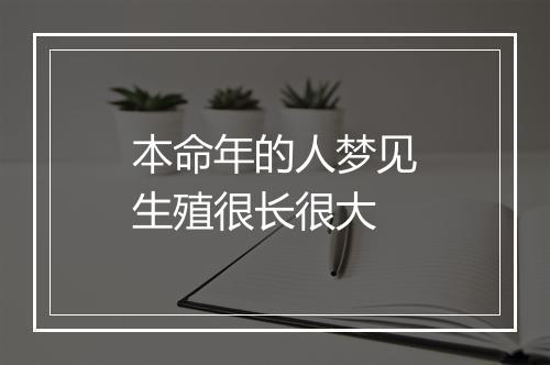 本命年的人梦见生殖很长很大