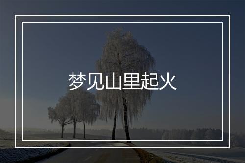 梦见山里起火