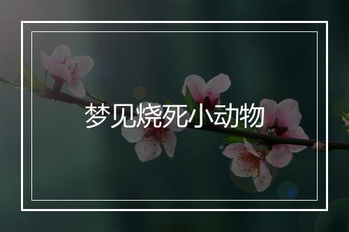 梦见烧死小动物