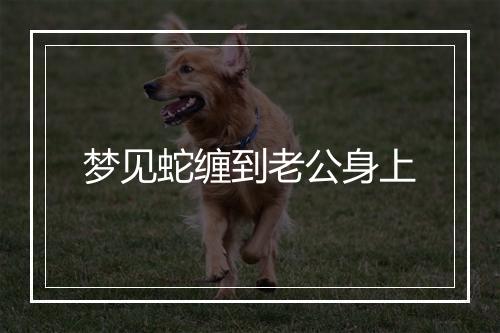 梦见蛇缠到老公身上