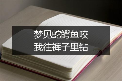 梦见蛇鳄鱼咬我往裤子里钻