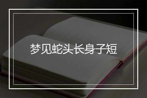 梦见蛇头长身子短