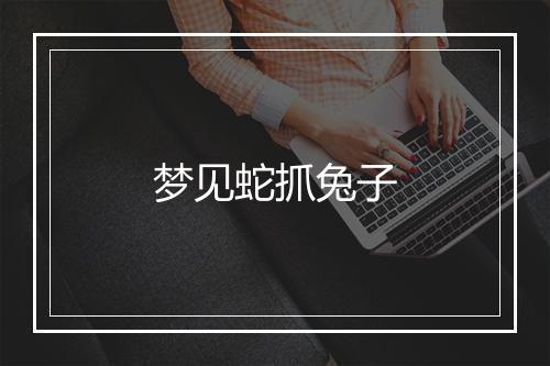 梦见蛇抓兔子