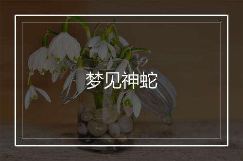 梦见神蛇