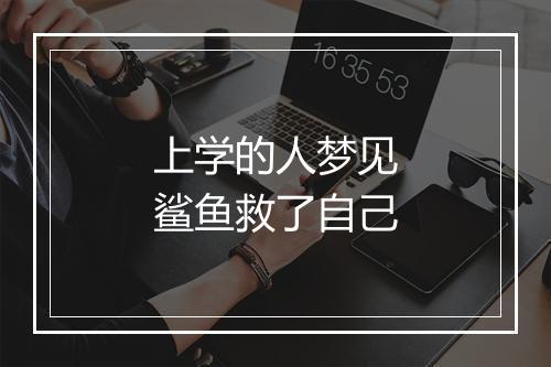 上学的人梦见鲨鱼救了自己