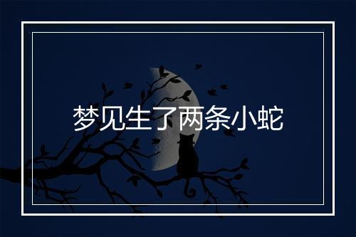 梦见生了两条小蛇