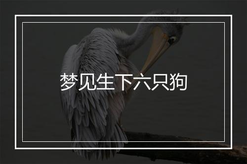 梦见生下六只狗