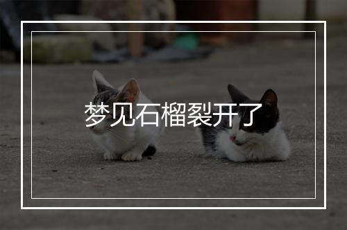 梦见石榴裂开了