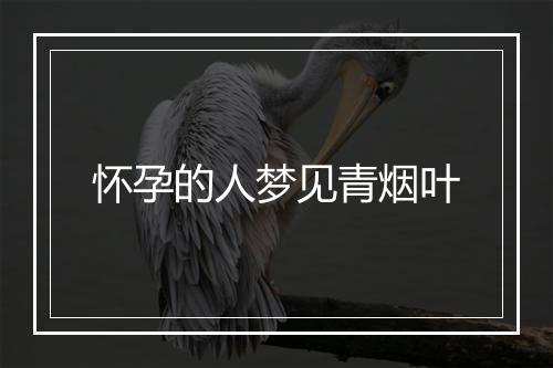 怀孕的人梦见青烟叶