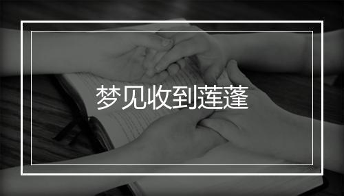 梦见收到莲蓬