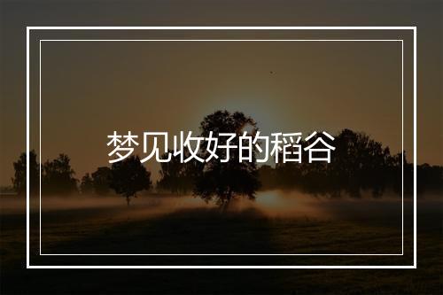 梦见收好的稻谷