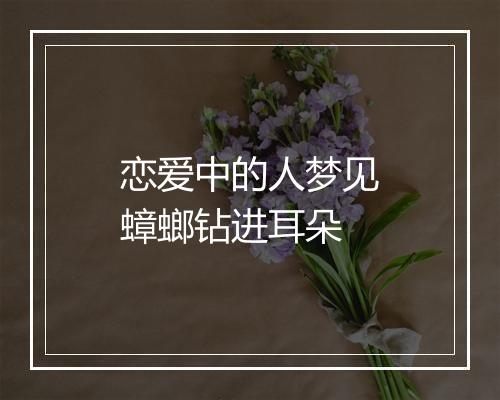 恋爱中的人梦见蟑螂钻进耳朵