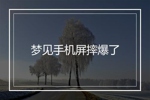 梦见手机屏摔爆了