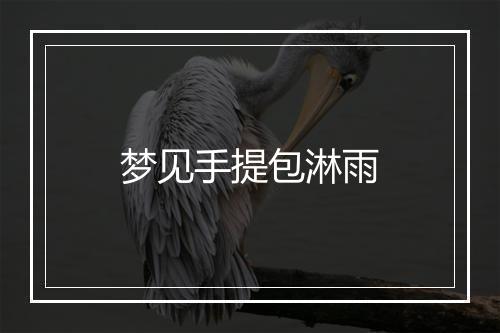 梦见手提包淋雨