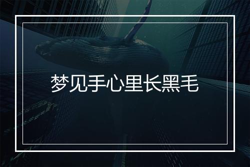 梦见手心里长黑毛