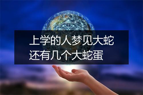 上学的人梦见大蛇还有几个大蛇蛋