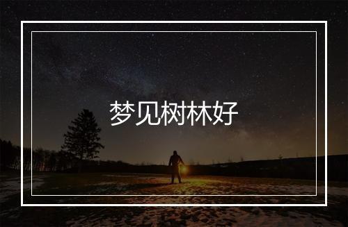 梦见树林好