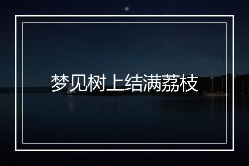 梦见树上结满荔枝