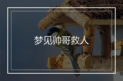 梦见帅哥救人