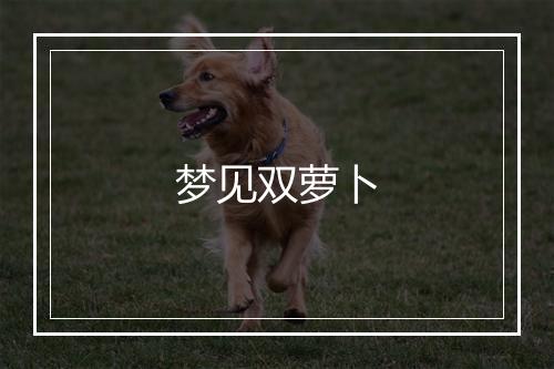 梦见双萝卜