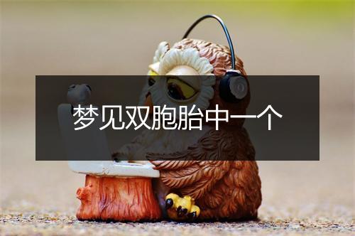 梦见双胞胎中一个