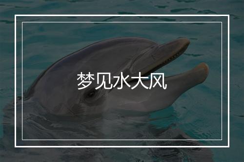 梦见水大风