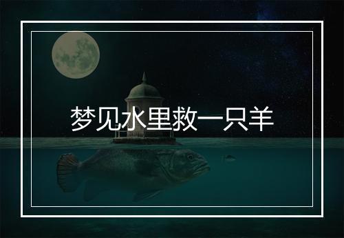 梦见水里救一只羊