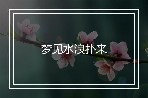 梦见水浪扑来