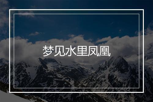 梦见水里凤凰