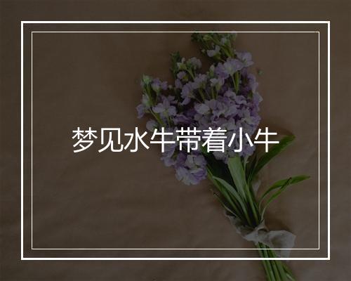 梦见水牛带着小牛