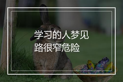 学习的人梦见路很窄危险