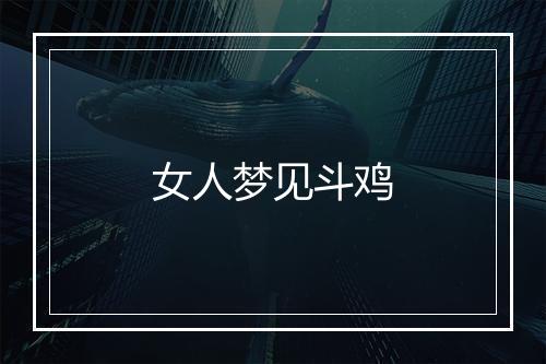 女人梦见斗鸡