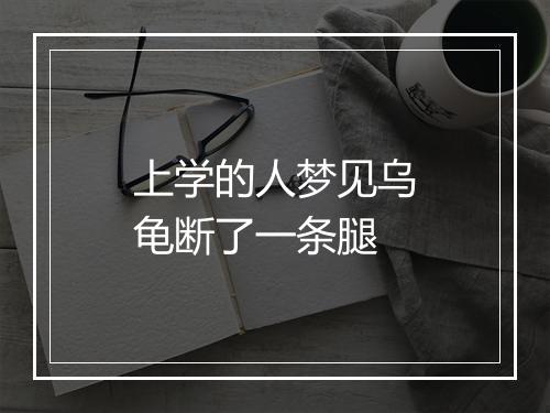 上学的人梦见乌龟断了一条腿