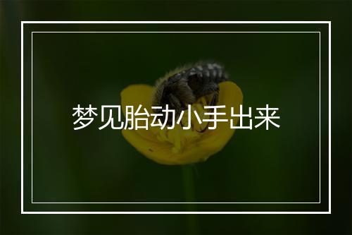 梦见胎动小手出来