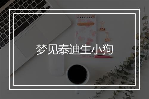 梦见泰迪生小狗