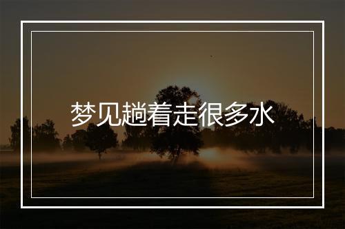 梦见趟着走很多水