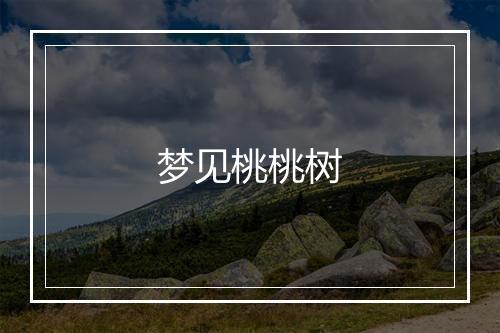 梦见桃桃树