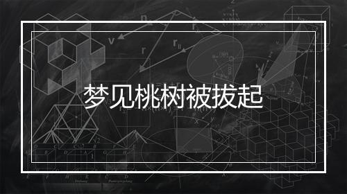 梦见桃树被拔起