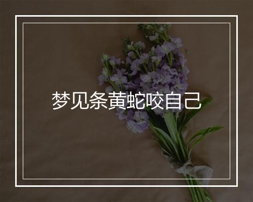 梦见条黄蛇咬自己