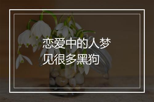 恋爱中的人梦见很多黑狗