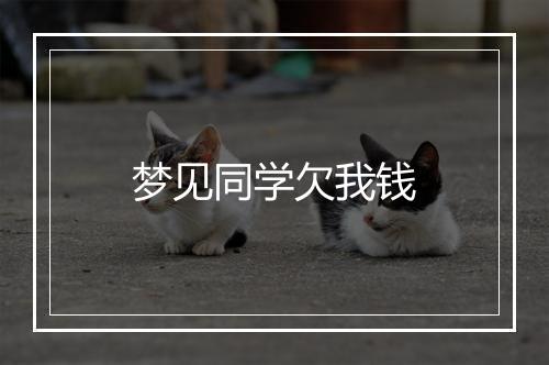 梦见同学欠我钱