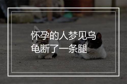 怀孕的人梦见乌龟断了一条腿