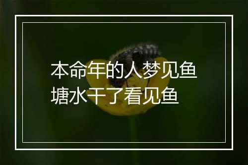 本命年的人梦见鱼塘水干了看见鱼