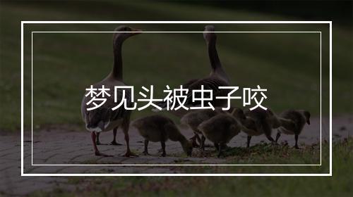 梦见头被虫子咬