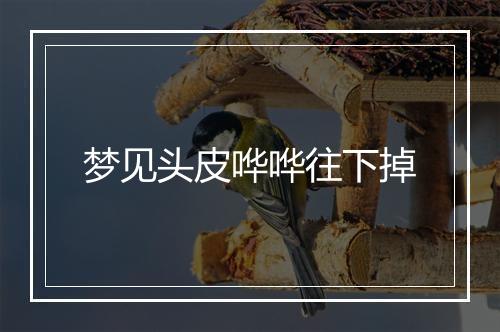 梦见头皮哗哗往下掉