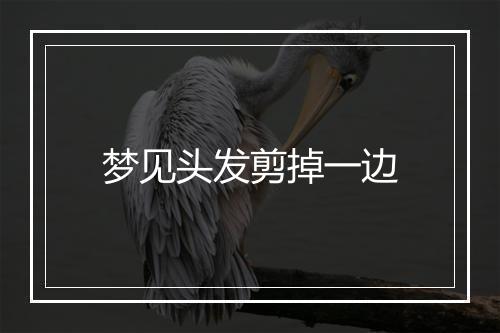 梦见头发剪掉一边