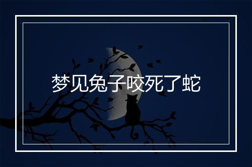 梦见兔子咬死了蛇