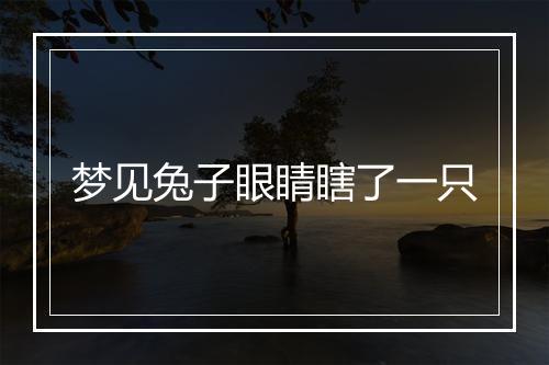 梦见兔子眼睛瞎了一只