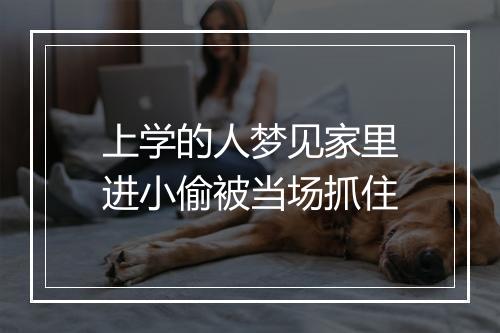 上学的人梦见家里进小偷被当场抓住