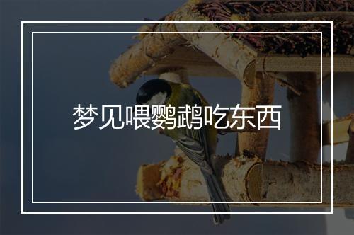 梦见喂鹦鹉吃东西